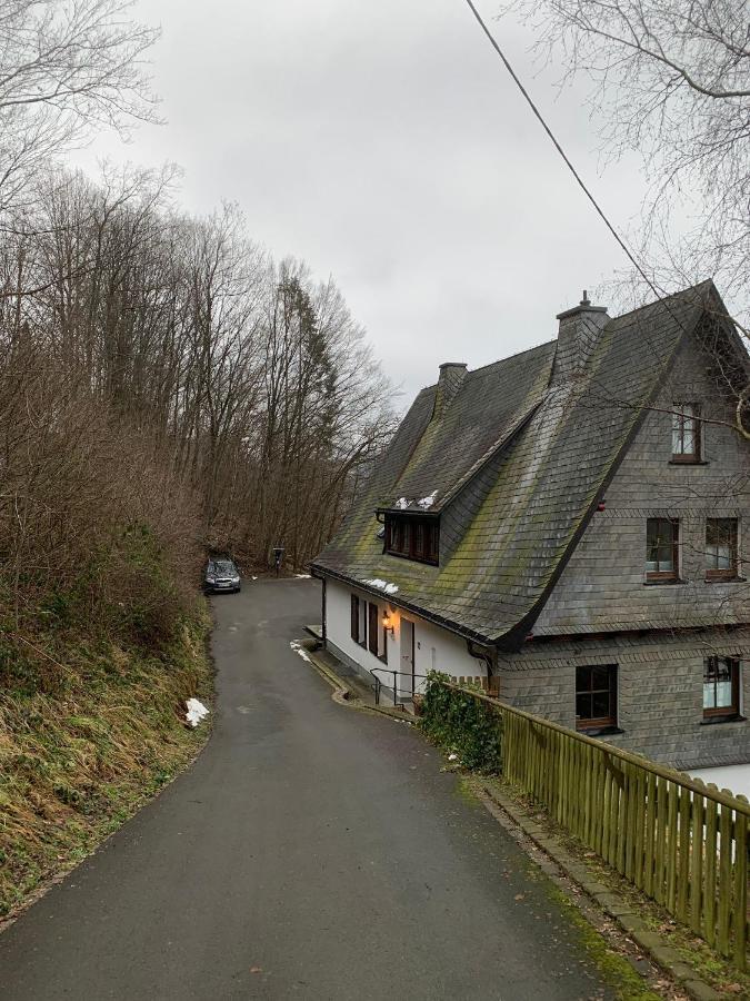 Berghaus 2 Komfortable Wohnungen Fuer Bis Zu 7 Personen - Familie - Wandern - E-Bike - Hunde - E-Ladesaeule - Wifi Schmallenberg Zewnętrze zdjęcie